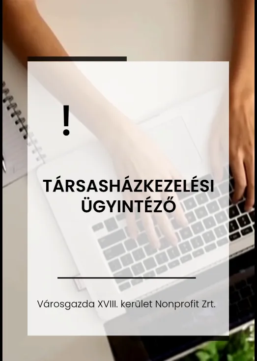 TH ügyintéző kiragadott kép..